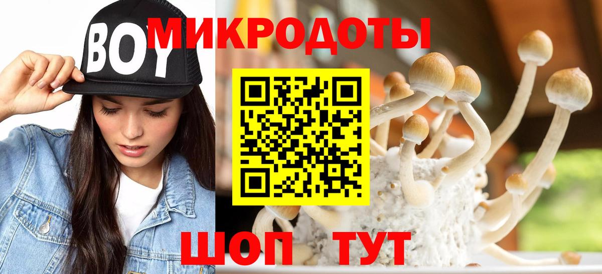 Галлюциногенные грибы мицелий  Вход с VPN  Воткинск  Галлюциногенные грибы Psilocybe 